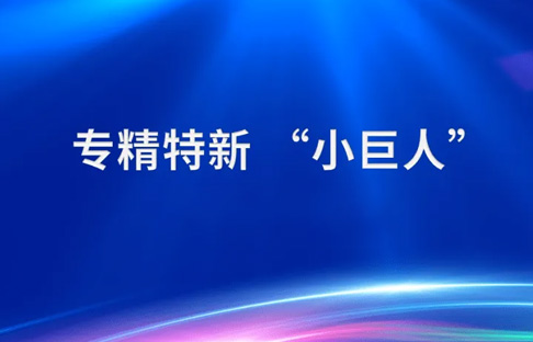 [Good news] | Lyncon Technology won the title of the fourth batch of national-level specialized and special new "Little Giant" enterprises