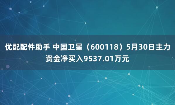 优配配件助手 中国卫星（600118）5月30日主力资金净买入9537.01万元