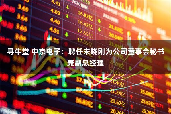 寻牛堂 中京电子：聘任宋晓刚为公司董事会秘书兼副总经理