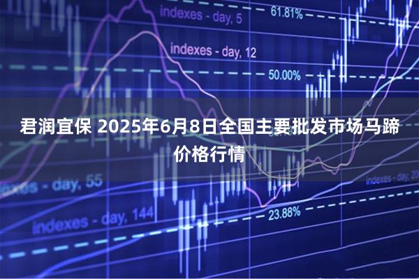 君润宜保 2025年6月8日全国主要批发市场马蹄价格行情