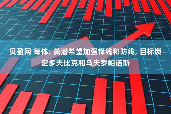 贝盈网 每体: 黄潜希望加强锋线和防线, 目标锁定多夫比克和马夫罗帕诺斯
