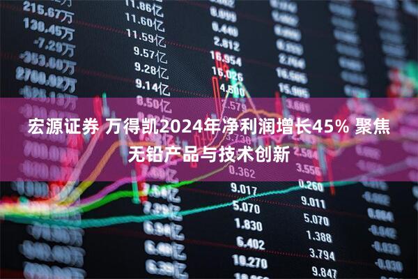 宏源证券 万得凯2024年净利润增长45% 聚焦无铅产品与技术创新
