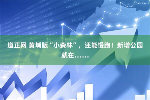 道正网 黄埔版“小森林”,还能慢跑!新增公园就在……